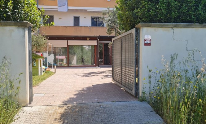 Laboratorio in Vendita a Lecce - via  Marco Basseo - Centro Storico