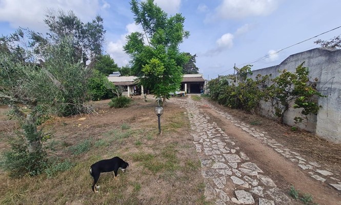 Appartamento in Affitto a Lecce -   Viale dell&# 39 - Rudiae