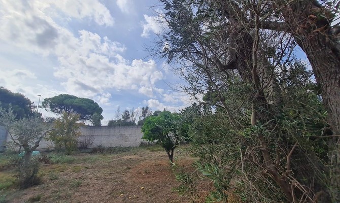 /public/fotoimmobili/1350293-svaq16q9.jpg.ashx?width=670&height=400&mode=crop