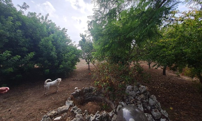 /public/fotoimmobili/1350293-upv532fu.jpg.ashx?width=670&height=400&mode=crop