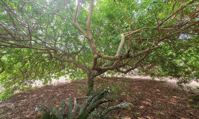 Appartamento in Affitto a Lecce -   Viale dell&# 39 - Rudiae