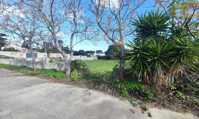 Attico in Vendita a Lecce - via  S. Cesario