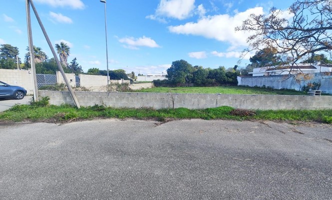 Attico in Vendita a Lecce - via  S. Cesario