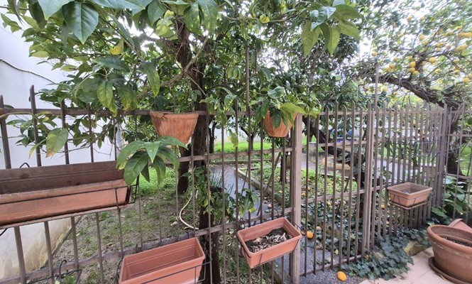 Appartamento in Affitto a Lecce - via  Tommaso Traetta - Cicolella