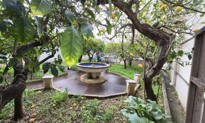 Appartamento in Affitto a Lecce - via  Tommaso Traetta - Cicolella