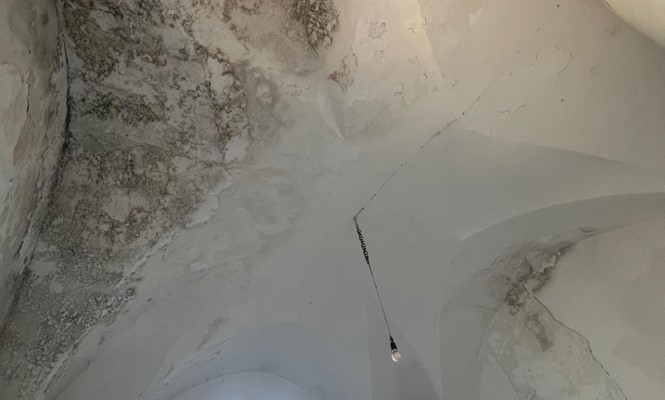 Appartamento in Affitto a Lecce - via Domenico Acclavio, 40 - Aria Sana