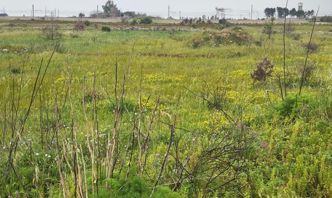 /public/fotoimmobili/1406754-d127flf.jpg.ashx?width=670&height=400&mode=crop