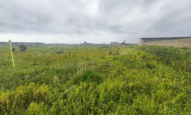 Appartamento in Vendita a Lecce - via Rapallo