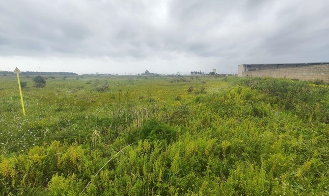 /public/fotoimmobili/1406754-ql88o.jpg.ashx?width=670&height=400&mode=crop