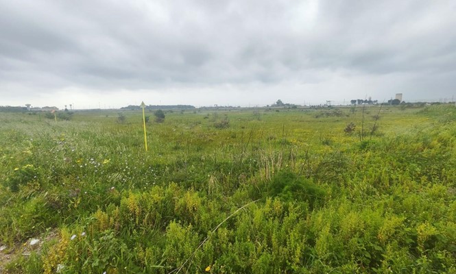 Appartamento in Vendita a Lecce - via Rapallo