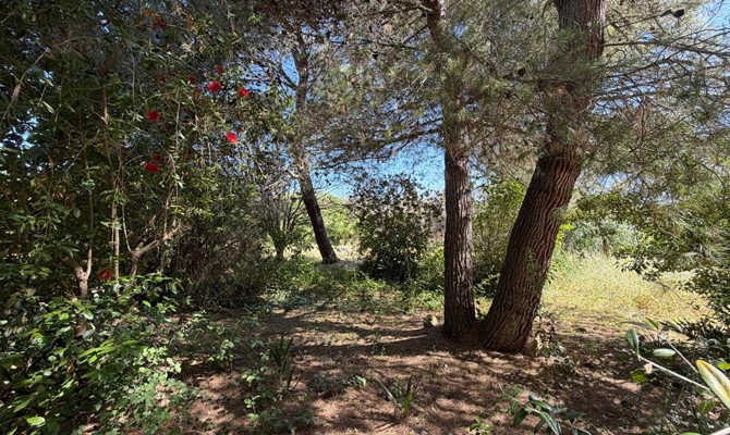 /public/fotoimmobili/1412065-dg8tf49y.jpeg.ashx?width=670&height=400&mode=crop
