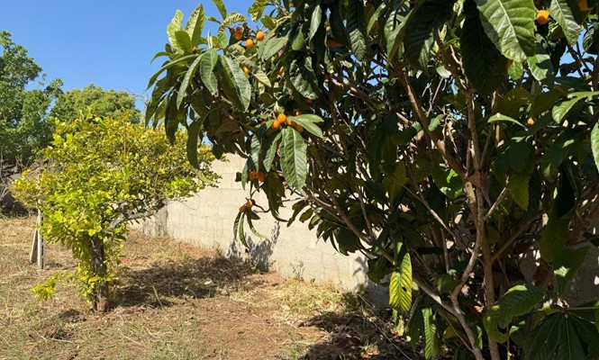 Appartamento in Affitto a Lecce - via Enrico Toti - Leuca