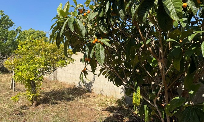 /public/fotoimmobili/1412065-hka4la54j.jpeg.ashx?width=670&height=400&mode=crop