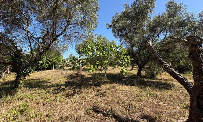 Appartamento in Affitto a Lecce - via Enrico Toti - Leuca