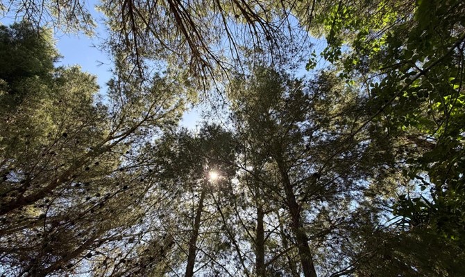 /public/fotoimmobili/1412065-uf1rs985.jpeg.ashx?width=670&height=400&mode=crop