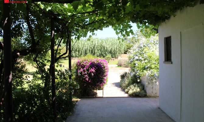 /public/fotoimmobili/1428748-buo59506.jpeg.ashx?width=670&height=400&mode=crop
