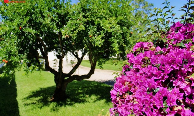 /public/fotoimmobili/1428748-hn154xj.jpeg.ashx?width=670&height=400&mode=crop
