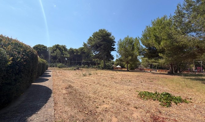 /public/fotoimmobili/1428871-vmu919sku.jpg.ashx?width=670&height=400&mode=crop