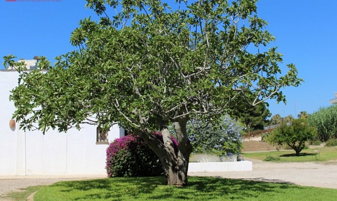/public/fotoimmobili/1428871-xsvk65sz.jpeg.ashx?width=670&height=400&mode=crop