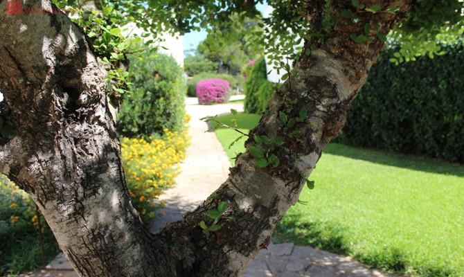 /public/fotoimmobili/1428871-zz37rus.jpeg.ashx?width=670&height=400&mode=crop