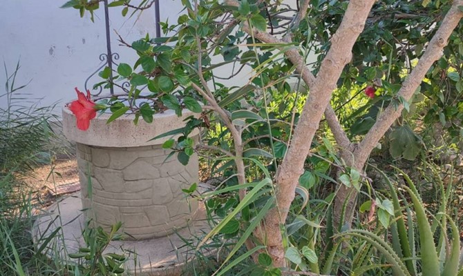 /public/fotoimmobili/2001-1303807-mofmt.jpg.ashx?width=670&height=400&mode=crop