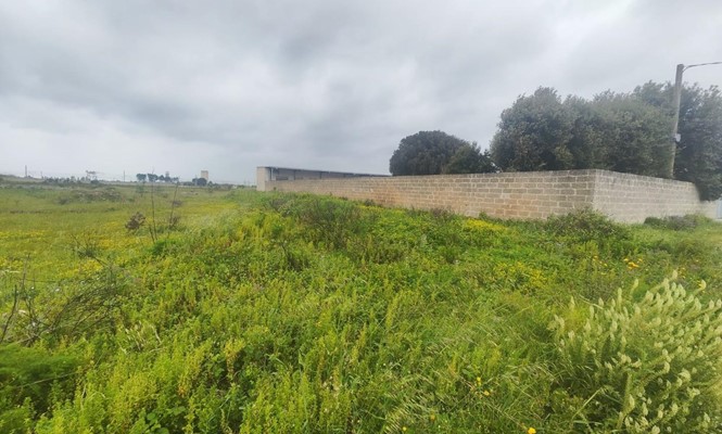 Appartamento in Vendita a Lecce - via Rapallo